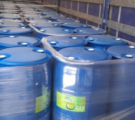 WhatsApp Image 2026-01-07 at 4.00.13 PM.jpeg